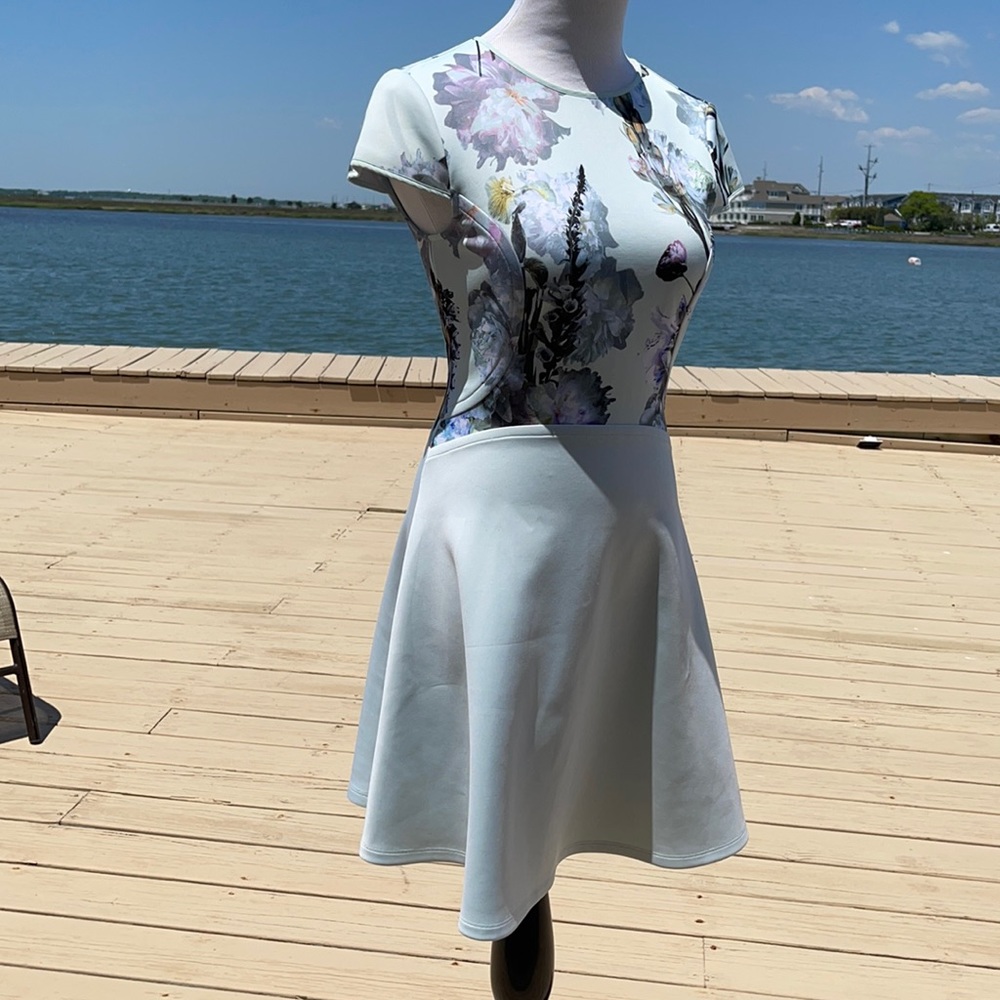 COPY - Ted Baker dress